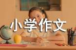 我的小学作文400字3篇