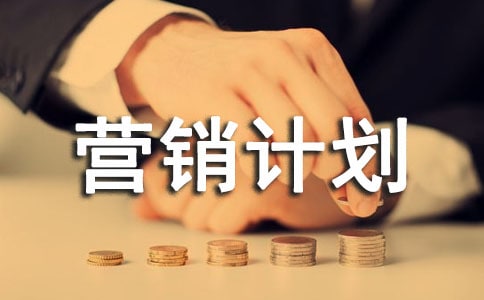 网络营销计划书范文