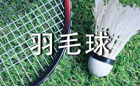 写打羽毛球的作文400字左右