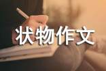 【推荐】状物作文500字3篇