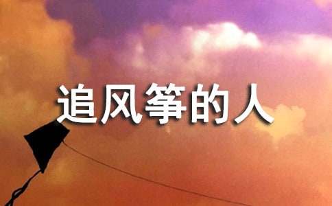 小学生追风筝的人好词好句摘抄大全