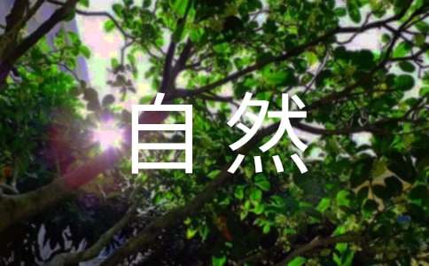 阅读自然作文500字