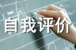 试用期内工作表现自我评价