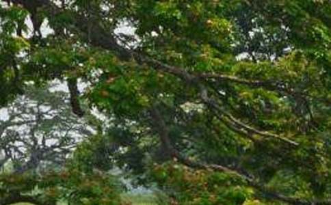 ʵ�õİ�������600�֣��ţ�