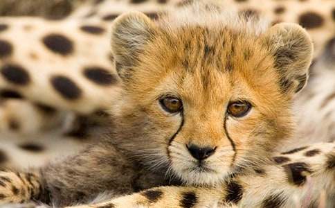 �μ����ӳ���