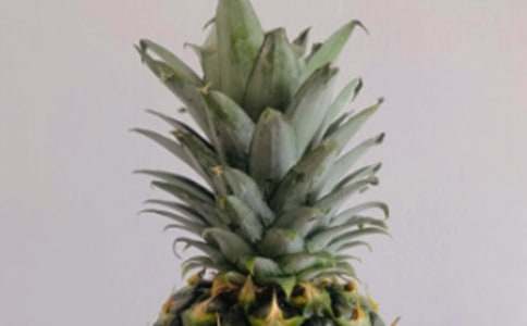 �и��μ�����