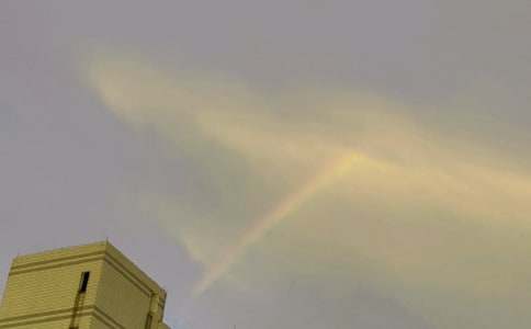 (��)�ʺ������600��3ƪ