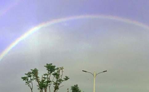 Ѱ�ٲʺ����������