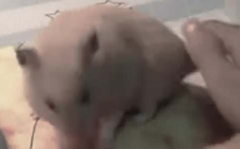 ���������600�֡���ѡ8ƪ��