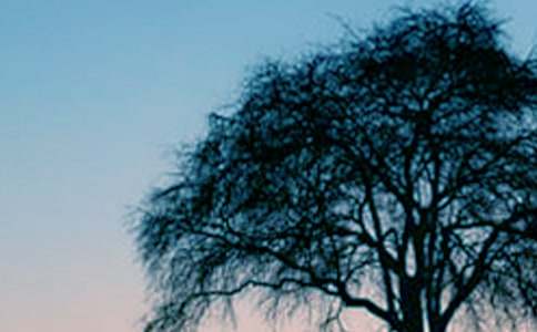 һ�ô������������ģ����䣩