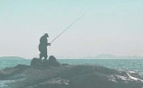 ��ѡСè���������300�ֺϼ�5ƪ