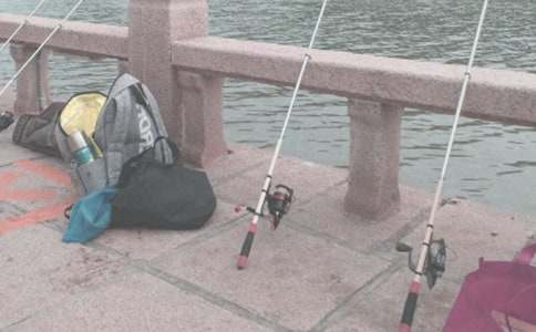 ��ѡСè���������300����ƪ