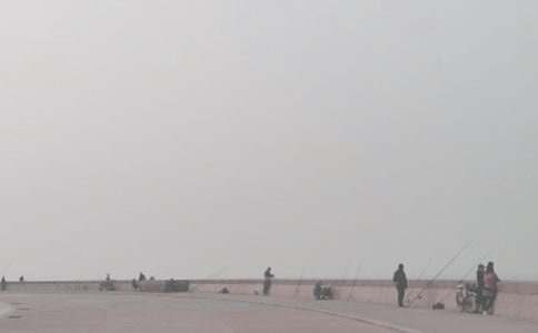 ��ѡСè���������300�ְ�ƪ