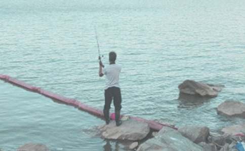 ��ʵ�á�Сè���������300��3ƪ