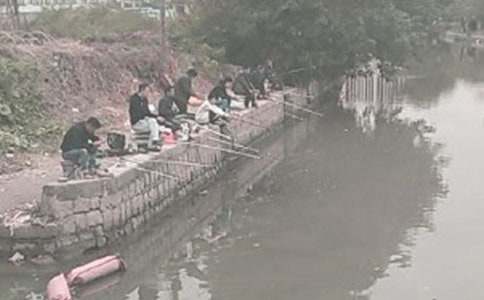 Сè���������300��5ƪ