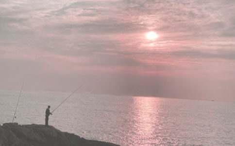 ��ѡСè��������300�ּ�����ƪ