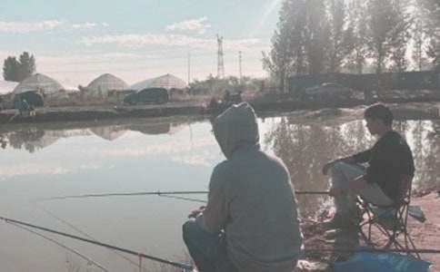 ʵ�õ�Сè��������300�ֺϼ�7ƪ