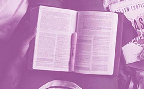 ��ɽǽ�İ��ݶ����