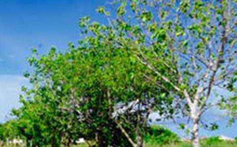 �羰���ռ�