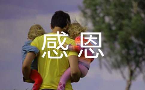 Сѧ���ж��������ܽ�