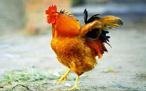 �󹫼����ģ�ͨ��35ƪ��