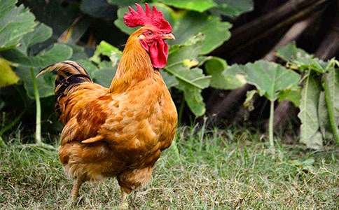 �μ���׹���