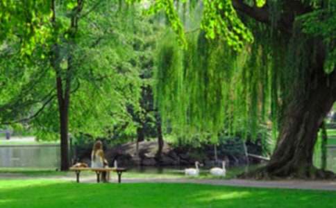 ��԰�ĺ�����600�֣�ͨ��25ƪ��