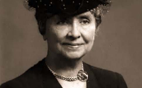 ���׿��ն����