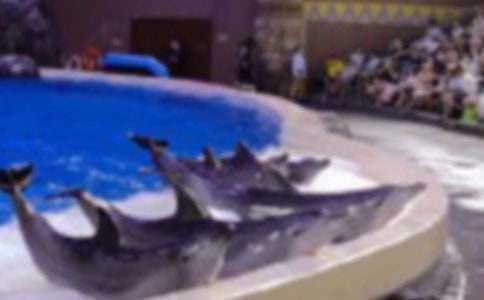 ����ɫ�ĺ��ൺ������кϼ�15ƪ