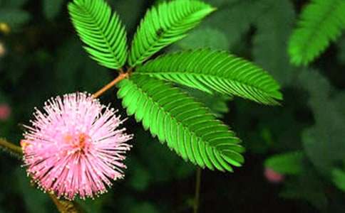 ���߲�����15ƪ(����)