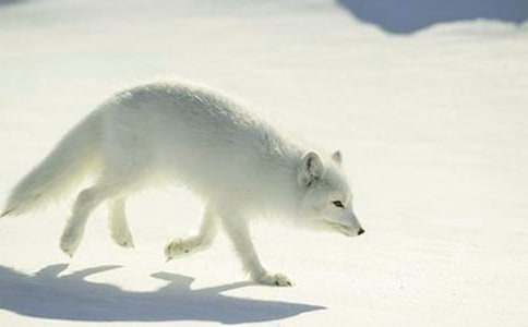 ���˲���ĺ���ְ֡�����л��ܡ�15ƪ��