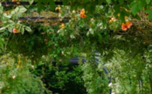 ��԰����600�ּ��ϡ�4ƪ��