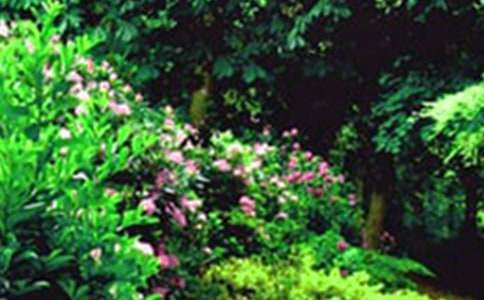 ��̨��԰����