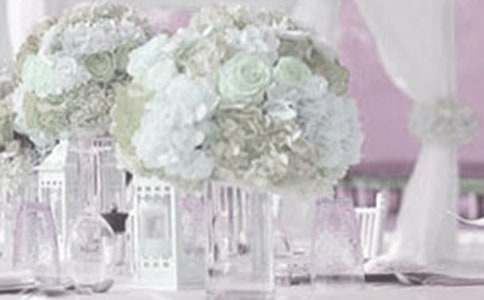 �����׽�����