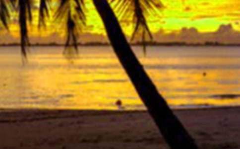 ���ڳ�ȥ�������