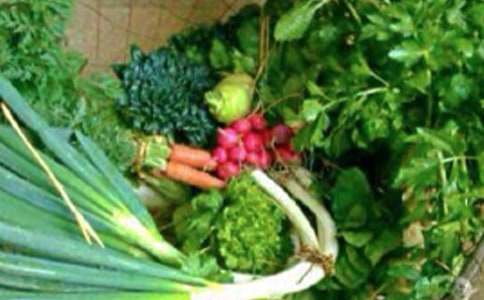 ��ͯ���������ƻ�