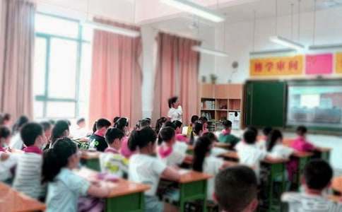 【实用】小学教学总结集合7篇
