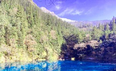 (��)��կ������