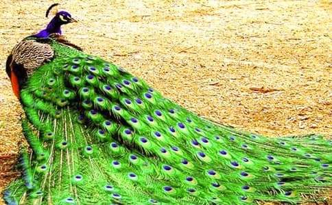 �����š���ȸ���������300����ƪ