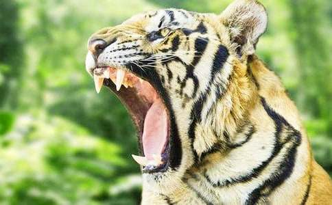 ʵ�õ��ϻ���������300����ƪ