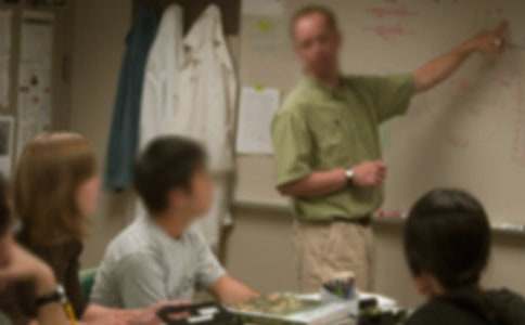 д����ʦ�ĸ�л��ģ�������ƪ