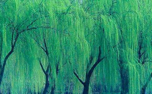 ��������������600��