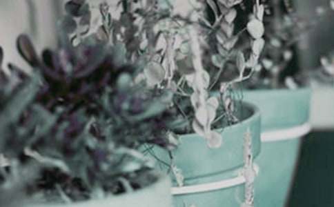 ��������600��