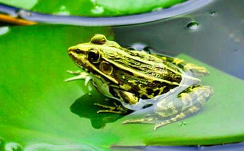 ��Цè�ռ�֮���ܺϳ��š������