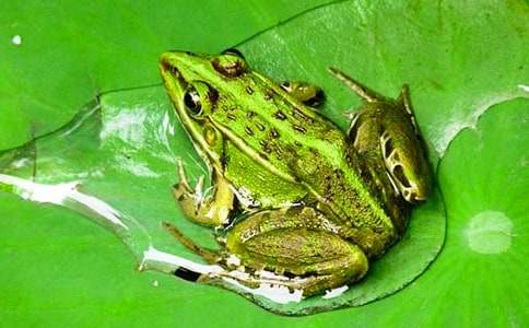 �����������Ļ��ܣ�15ƪ��