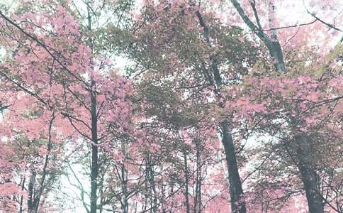 �＾��ѧ�ܽ����6ƪ