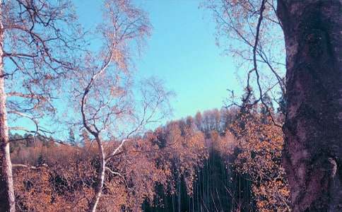 ����˽�����ģ���ѡ��