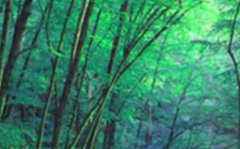 ɭ�ֵĶ�������400�ֺϼ�5ƪ