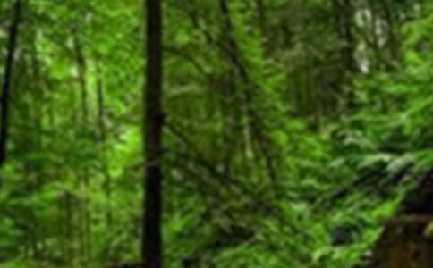 ɭ�ֶ�������400�ּ�����ƪ