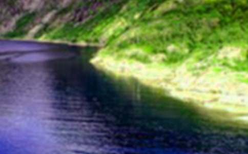 ɽˮ����600�֣�ͨ��8ƪ��